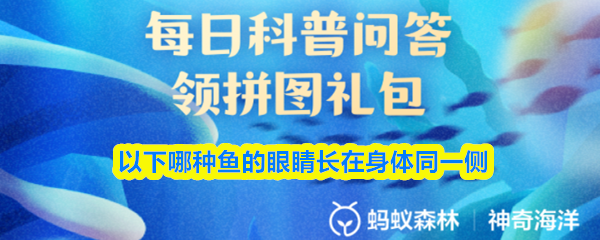 以下哪种鱼的眼睛长在身体同一侧