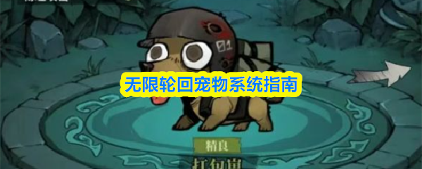 无限轮回宠物系统指南