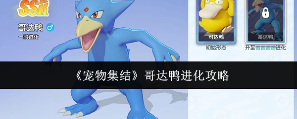 《宠物集结》哥达鸭进化攻略