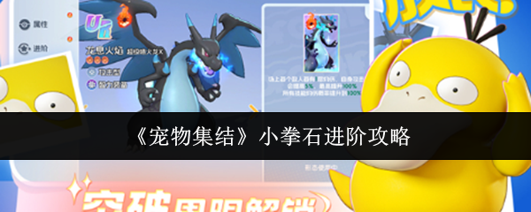 《宠物集结》小拳石进阶攻略