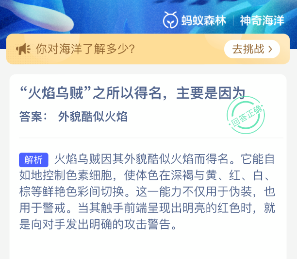 火焰乌贼之所以得名主要是因为