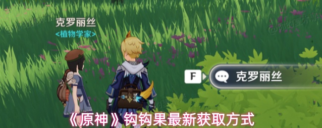 《原神》钩钩果最新获取方式