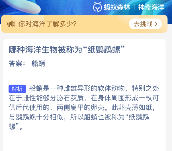 哪种海洋生物被称为纸鹦鹉螺