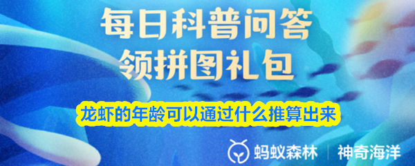 龙虾的年龄可以通过什么推算出来