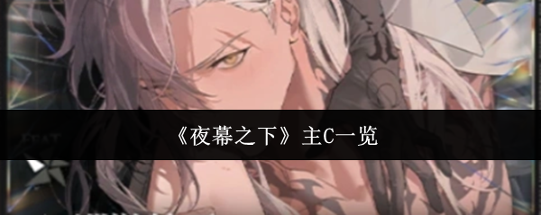 《夜幕之下》主C一览