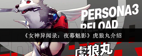 《女神异闻录:夜幕魅影》虎狼丸介绍