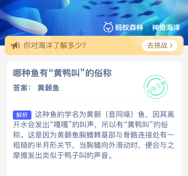 哪种鱼有黄鸭叫的俗称