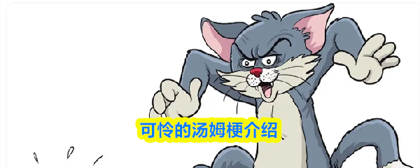 可怜的汤姆梗介绍