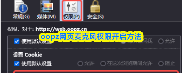oopz网页麦克风权限开启方法