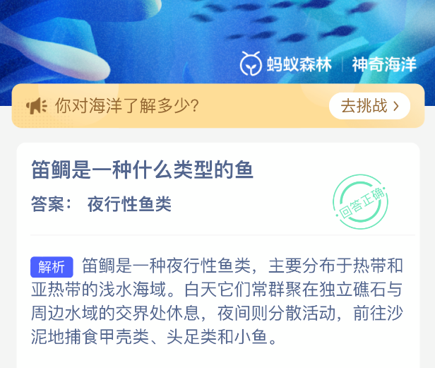 笛鲷是一种什么类型的鱼