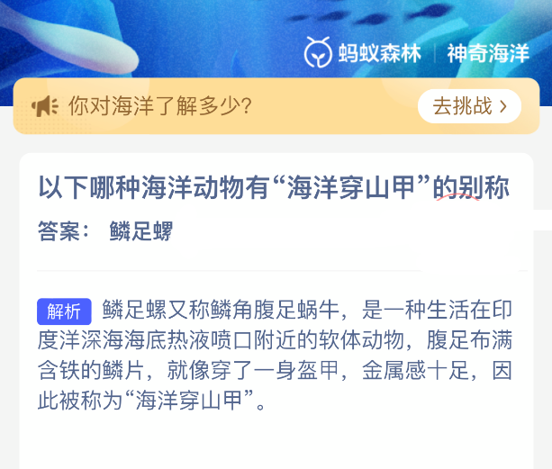 以下哪种海洋动物有海洋穿山甲的别称