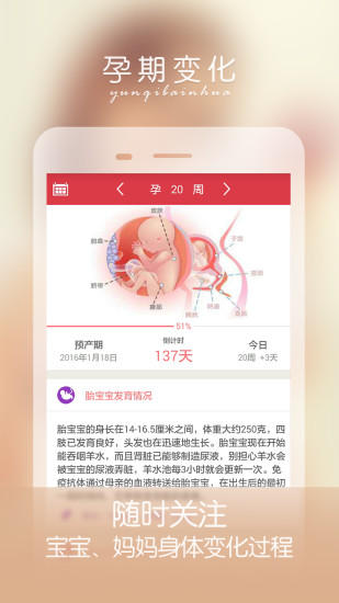 孕妇怀孕期伴侣手机软件app截图