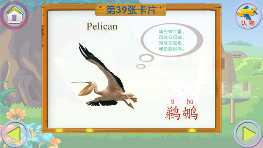 百科 飞鸟海洋版手机软件app截图