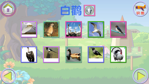 百科 飞鸟海洋版手机软件app截图