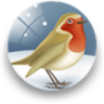 知更鸟手机软件app