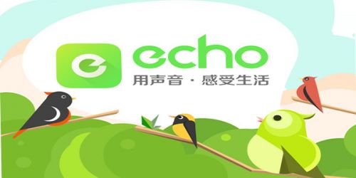 《echo回声》的使用方法介绍