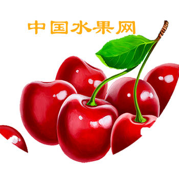 中国水果网手机软件app