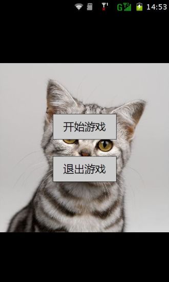 可爱猫咪手游app截图