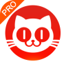 猫眼 专业版手机软件app