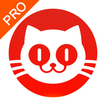 猫眼 专业版手机软件app