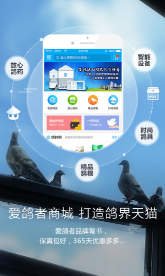 爱鸽者手机软件app截图