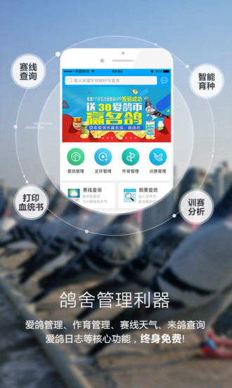 爱鸽者手机软件app截图