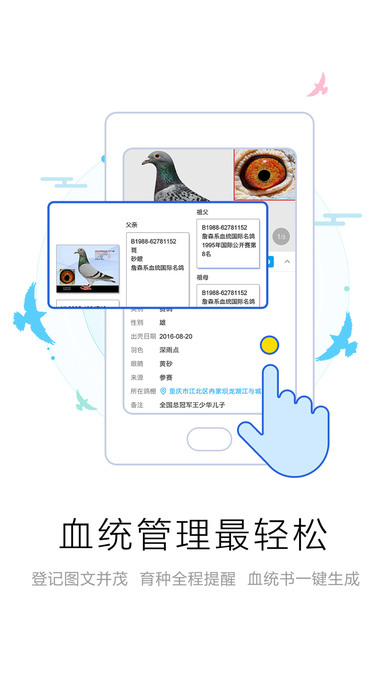 爱鸽者手机软件app截图