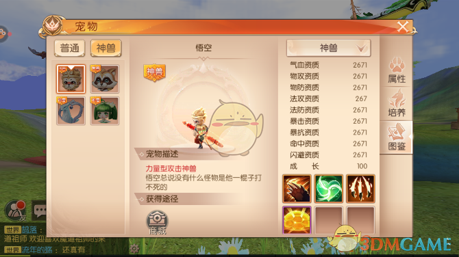 《九州天空城3D》游侠宠物搭配介绍