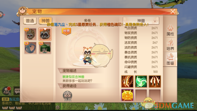 《九州天空城3D》游侠宠物搭配介绍