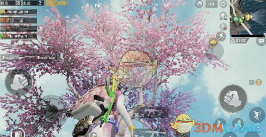 《绝地求生：刺激战场》樱花树位置分享