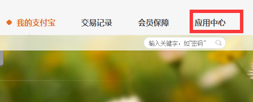 《支付宝电脑版》代付流程介绍