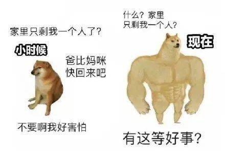 两只狗对比表情包大全 双狗对比表情包原图无水印 3dm手游