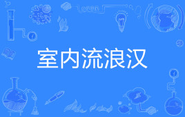 抖音室内流浪汉是什么梗