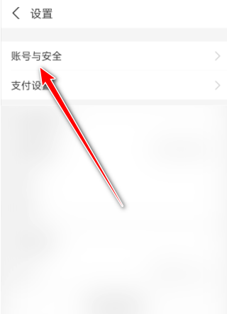 《支付宝》查看登录设备方法