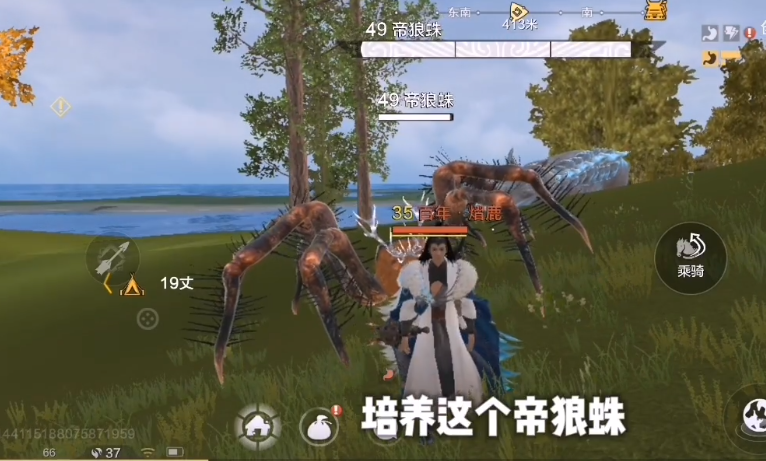 《妄想山海》帝狼蛛捕捉位置介绍