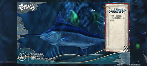 《妄想山海》千年黑枪鱼位置一览