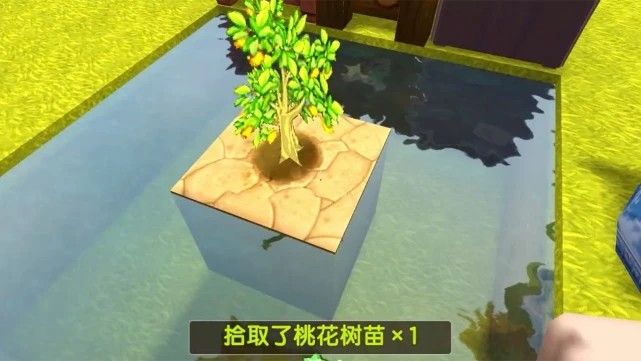 《迷你世界》空岛生存地图玩法攻略