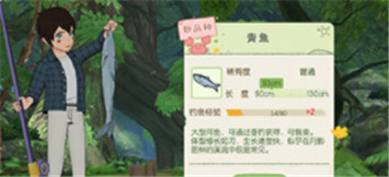 《小森生活》青鱼垂钓位置介绍
