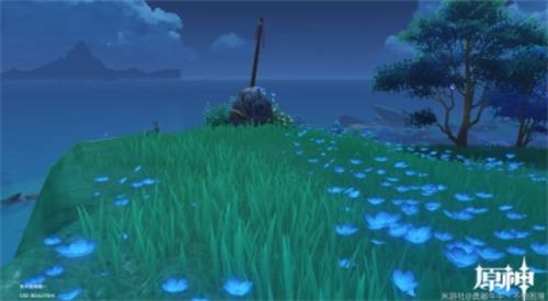《原神》海祇之鳍任务完成攻略