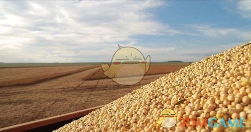 哪个省是我国大豆主产区,大豆面积和产量占全国一半左右