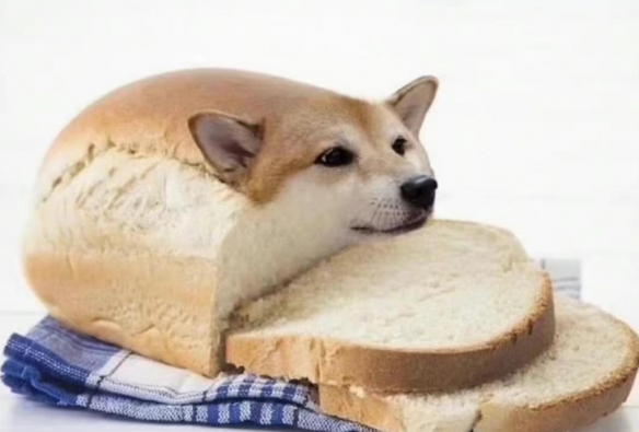 面包狗表情包大全