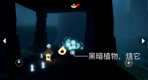 《光遇》8月2日每日任务完成攻略2022