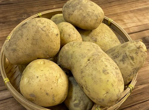 想延长土豆的保存期，怎样存放更合适