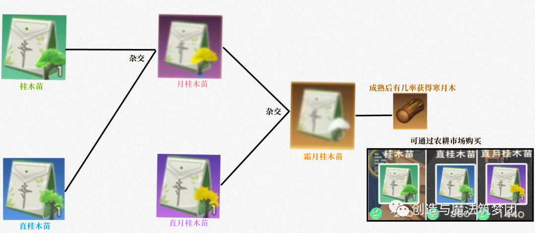 创造与魔法星神阿斯特奥斯怎么样-星神阿斯特奥斯技能强度解析