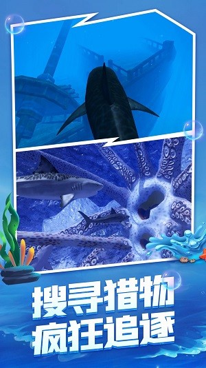 不用实名认证也能玩的游戏推荐盘点