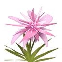 《迷你世界》粉色龙舌兰种子合成表图鉴