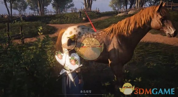 燕云十六声化马记奇遇攻略