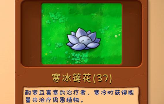 植物大战僵尸融合版雪原版本