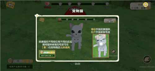小森生活国际服猫咪如何培养图片4