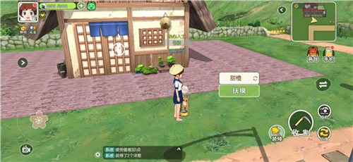 小森生活国际服猫咪如何培养图片3